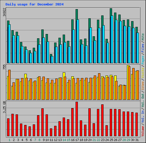 Daily usage for December 2024