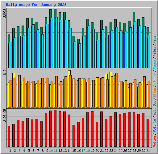 Daily usage for January 2026