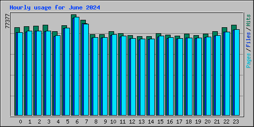 Hourly usage for June 2024