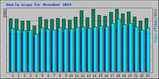 Hourly usage for November 2024