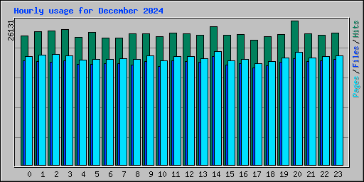 Hourly usage for December 2024