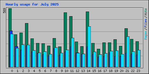 Hourly usage for July 2025