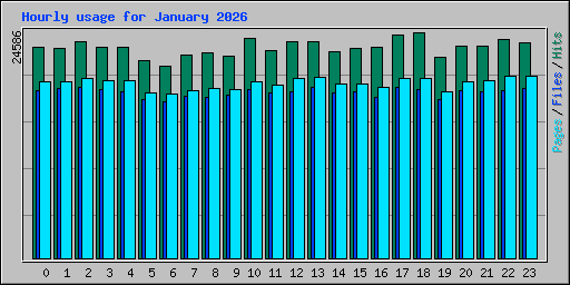 Hourly usage for January 2026