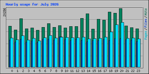 Hourly usage for July 2026
