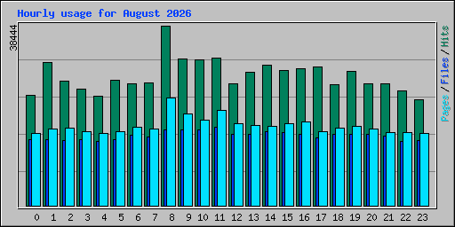 Hourly usage for August 2026