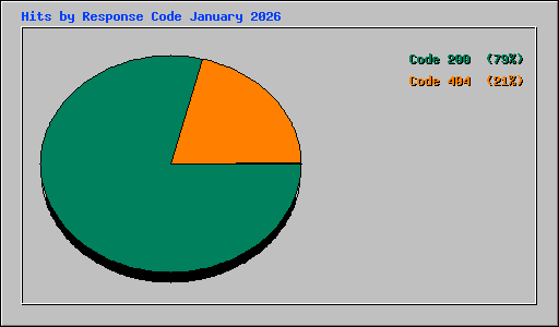 Hits by Response Code January 2026